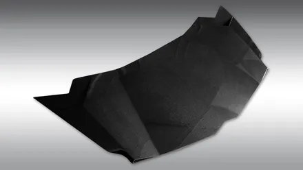 람보르기니 아벤타도르 노비텍 더블 카본 스포일러 Novitec / 경기 성남 분당