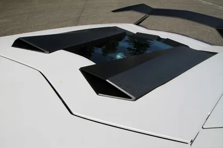 람보르기니 아벤타도르 노비텍 더블 카본 스포일러 Novitec / 경기 성남 분당