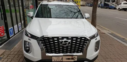 신차 펠리세이드!!! 후퍼옵틱 클라식 시공 / 인천 청라, 김포