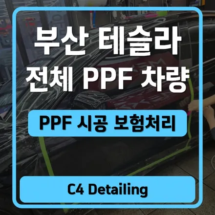 부산 테슬라 전체 PPF 문콕테러 보험처리 시공 후기 / 부산 금정구