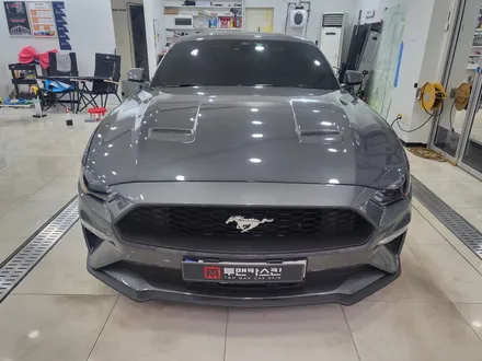 포드 머스탱 바이퍼 라인 전문점 / 데칼 라인 잘하는곳 / 김포랩핑 김포시랩핑 김포ppf 김포시ppf / 인천 서구, 부평, 부천