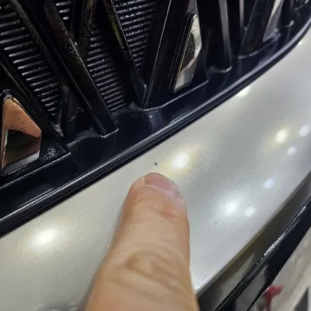 기아 카니발 하이리무진 전체 크롬죽이기 작업 및 휠 랩핑으로 조금 더 유니크한 카니발로 꾸미기 / 엠블럼 교체 / 인천 남동구 논현동