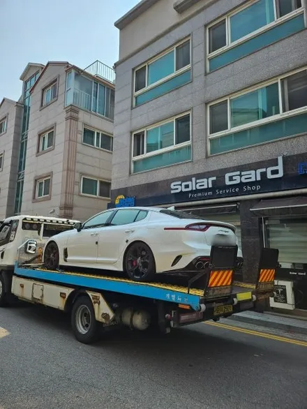 기아 스팅어 미드나잇 퍼플 전체랩핑 / 브라바도 랩핑 / 인천랩핑 / 인천 남동구 논현동