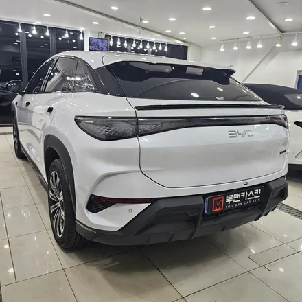BYD 씨라이언7 전기차, 인천 부분랩핑으로 유니크하게 변신 / 인천 남동구 논현동