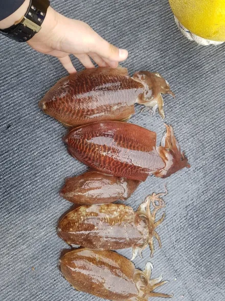더뉴쏘렌토 천안에서 순정으로 어라운드뷰 시공하기!