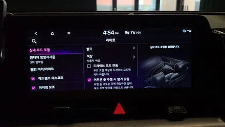 스포티지 NQ5 순정 앰비언트 출고후 넣기!