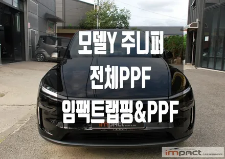 수원 용인 PPF 블랙컬러 관리 비결! 테슬라 주니퍼 전체PPF가 대세! / 수원시 권선구 고색동