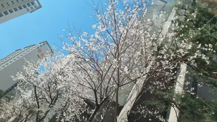 LF소나타 엠비언트 라이트 무드등 시공은 인코브 부산지사^^! / 부산진구