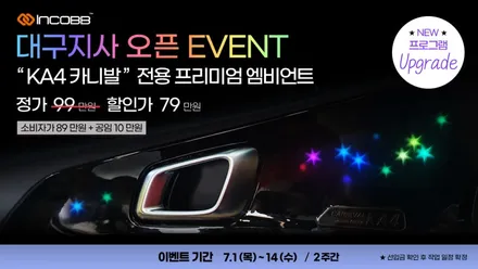 세상에서 가장 이쁜 엠비언트 라이트 / KA4 카니발 프리미엄 엠비언트 / 비노출 순정 무드등 ^^ / 부산진구