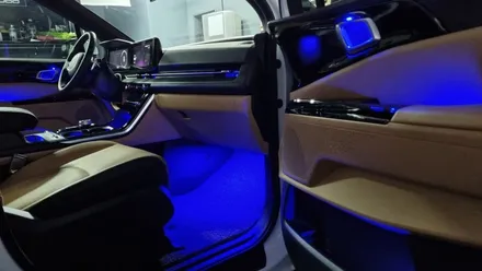 부산 카니발 KA4 비노출 순정형 엠비언트 라이트는 인코브 부산지사에서 / LED RGB 무드등, 풋등 / 부산진구