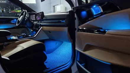 부산 카니발 KA4 비노출 순정형 엠비언트 라이트는 인코브 부산지사에서 / LED RGB 무드등, 풋등 / 부산진구