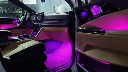 부산 카니발 KA4 비노출 순정형 엠비언트 라이트는 인코브 부산지사에서 / LED RGB 무드등, 풋등 / 부산진구