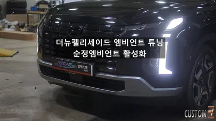 더뉴펠리세이드 엠비언트 옵션 없는 차량 순정엠비언트 활성화 작업 / 경남 양산