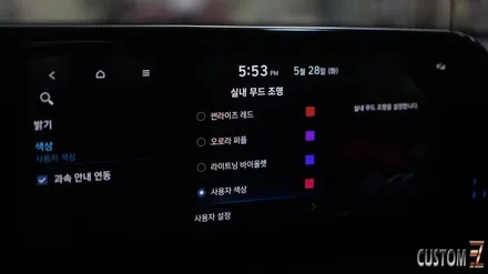 더뉴펠리세이드 엠비언트 옵션 없는 차량 순정엠비언트 활성화 작업 / 경남 양산