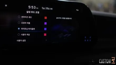 더뉴펠리세이드 엠비언트 옵션 없는 차량 순정엠비언트 활성화 작업 / 경남 양산