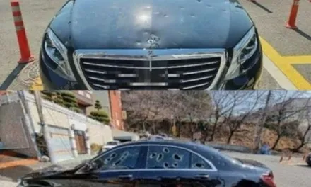 구형 벤츠 E220 W212 엠비언트 하나로 신형 벤츠 만드는 법이 있죠? / 김포 고촌읍