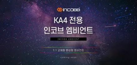 대구 엠비언트 잘하는 곳 !! 인코브 엠비언트 신형 카니발 KA4 전용 엠비언트!!!! / 대구 달성군