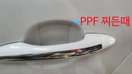 카니발 생활보호 필름 PPF 작업할까요? / 관악구 봉천동