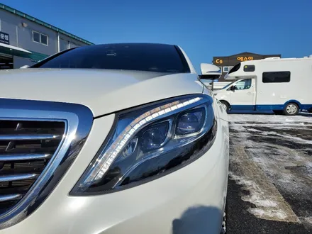 [팀카스킨 화성점] 벤츠 S350 에이버리 유광화이트펄 전체랩핑 시공 / 서초구 방배동