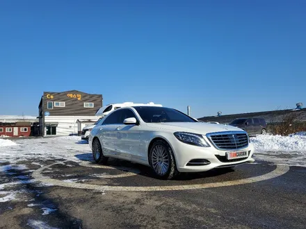 [팀카스킨 화성점] 벤츠 S350 에이버리 유광화이트펄 전체랩핑 시공 / 서초구 방배동