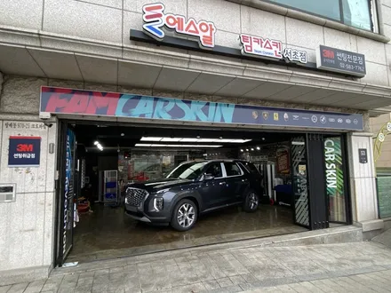 [팀카스킨 서초점] 현대 팰리세이드 신차 #헥사아머 #생활보호PPF 시공 / 서초구 방배동
