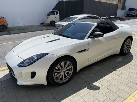 [팀카스킨 서초점] JAGUAR F Type 전체랩핑 제거 / 서초구 방배동