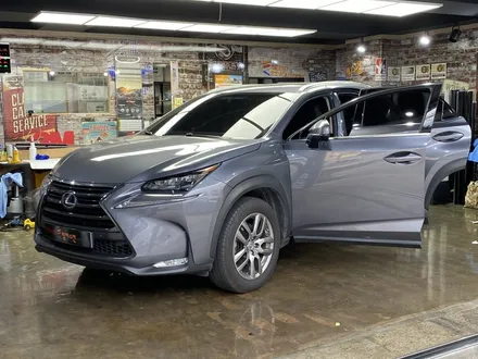 [팀카스킨 서초점] LEXUS NX 3M 썬팅 / 전면 : / 서초구 방배동
