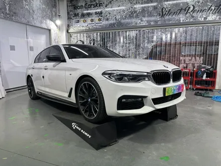 [팀카스킨 화성] BMW 540i 부분 PPF 시공 / 서초구 방배동