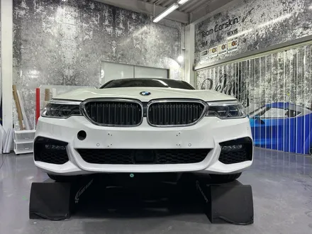 [팀카스킨 화성] BMW 540i 부분 PPF 시공 / 서초구 방배동