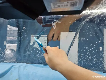 부산해운대신차패키지 기아카니발 썬팅,생활보호PPF,유리막시공은 디아만트에서 / 부산 해운대구