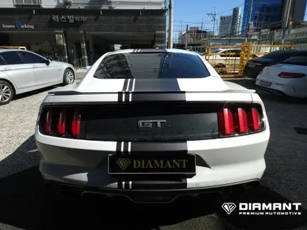 부산해운대데칼튜닝 포드 머스탱 데칼스티커 재시공 / 부산 해운대구