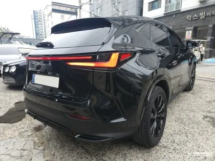 부산해운대랩핑 렉서스 NX 프론트립 리어디퓨져 포인트랩핑엠블럼 스모그필름 시공완료 / 부산 해운대구