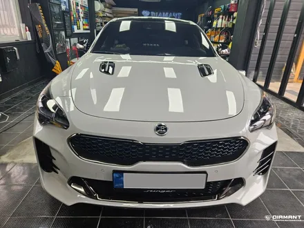 부산해운대랩핑 기아 스팅어 루프스킨, 필러 3M2080 블랙유광랩핑으로 고급스러운 외관 연출 / 부산 해운대구