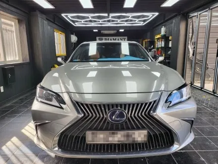 렉서스 ES300 전면 글라스틴트 펜더 S 시공 / 부산 해운대구