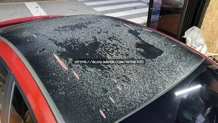 전주랩핑 루프스킨 아반떼 MD 3M2080 유광블랙 전주루프스킨 랩핑맛집 전주 제로모션 / 전주시 덕진구 팔복동