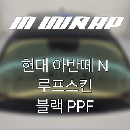 일산 파주 루프스킨 PPF 랩핑샵 인랩 / 파주시 산남동