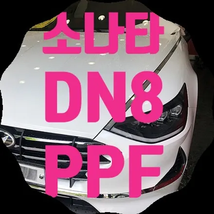 소나타 DN8 PPF 생활보호패키지 B형 / 서울 서대문