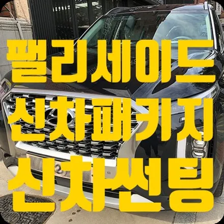 팰리세이드 신차패키지 세번째 이야기 열차단썬팅 / 서울 서대문