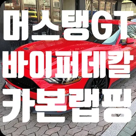 머스탱GT 바이퍼데칼 부분카본랩핑 시공 / 서울 서대문