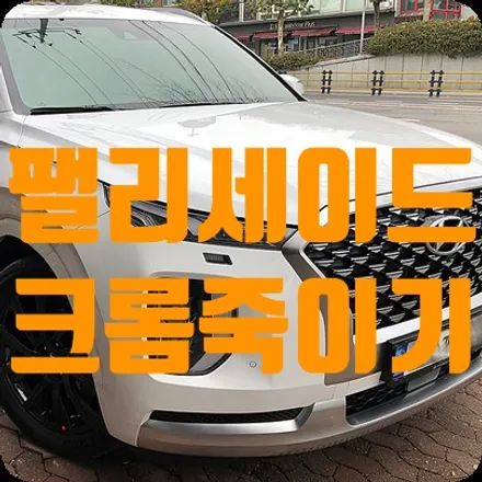 팰리세이드 크롬죽이기 및 부분랩핑 / 서울 서대문
