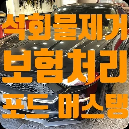 석회물제거 보험처리 포드머스탱 작업 / 서울 서대문