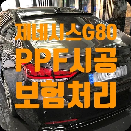 제네시스 G80 후방추돌 전체 PPF 보험처리 / 서울 서대문
