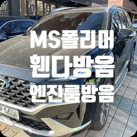 MS폴리머 언더코팅/휀다방음/엔진룸방음 싼타페TM방음 / 서울 서대문구