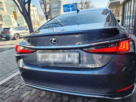 자동차 찍힌 문짝 도색 하고, 휀다 부분 복원 비용 얼마 일까? / 서울 서대문