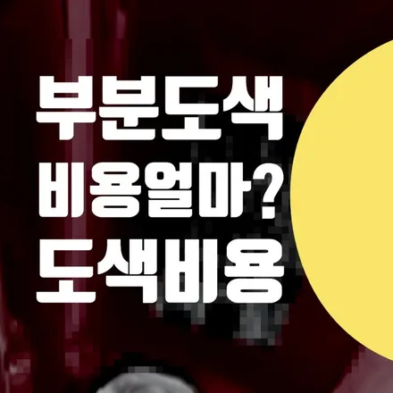 자동차 부분도색 비용 얼마 일까? 폭스바겐 도색 비싼가요? / 서울 서대문