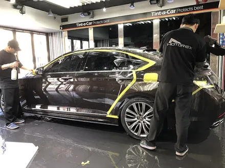 제네시스 G80 후방추돌 전체 PPF 보험처리 / 서울 서대문