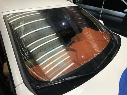 BMW M4 컨버터블 신차썬팅 생활보호PPF B형 / 서울 서대문