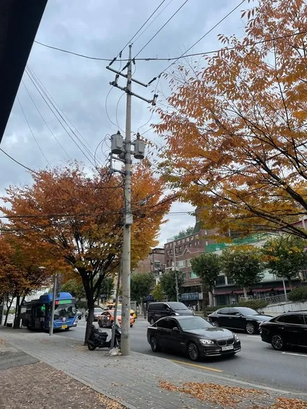 테슬라 모델Y 하부코팅 MS폴리머 언더코팅제 / 서울 서대문