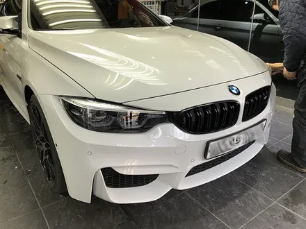 BMW M4 컨버터블 신차썬팅 생활보호PPF B형 / 서울 서대문
