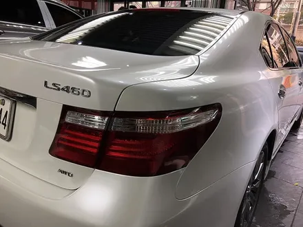 자동차랩핑 전문업체에 가격 문의 해야하는 이유 렉서스LS460 / 서울 서대문